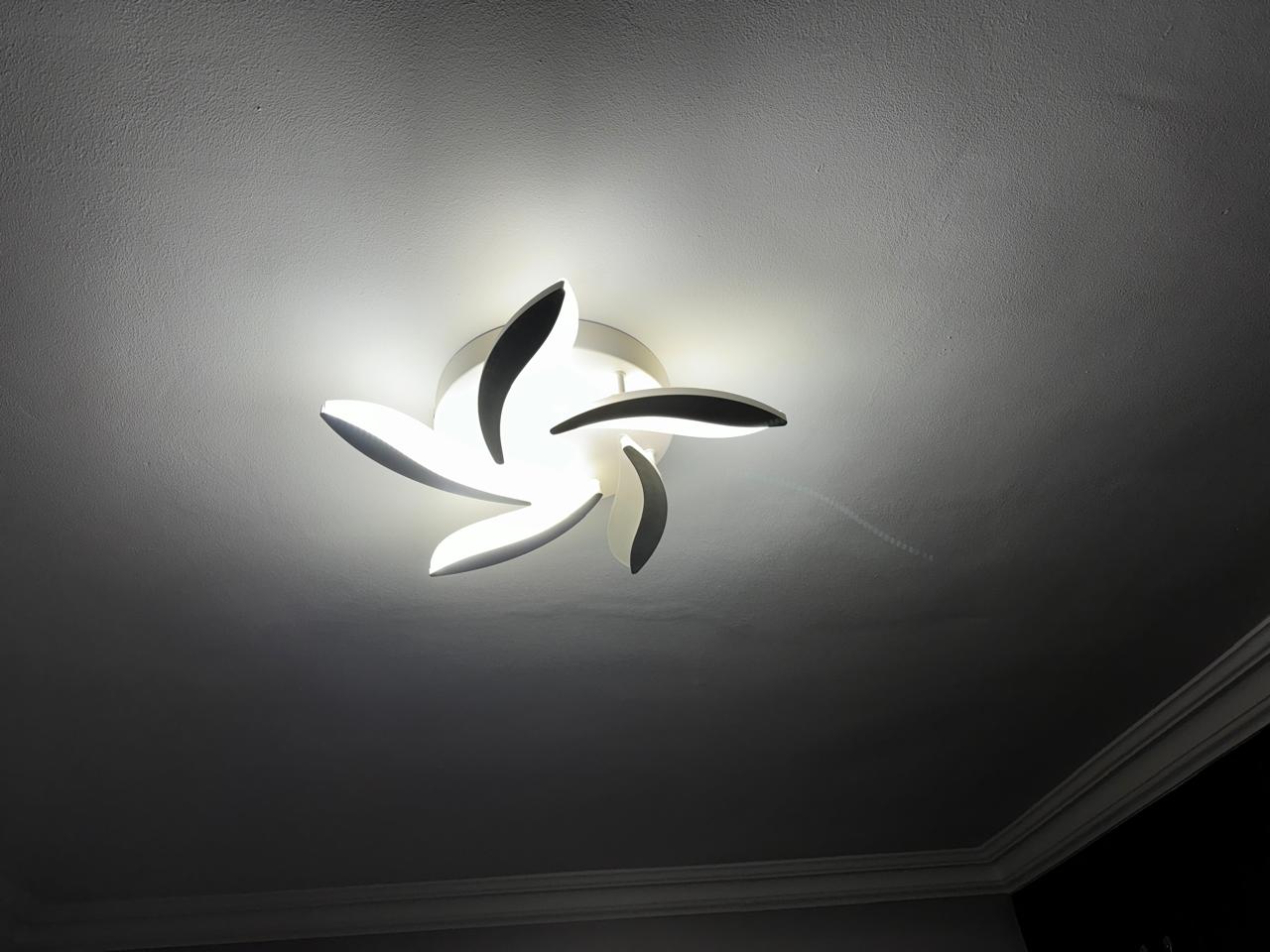 WhatsApp Image 2024-06-03 at 12.12.24 (5)